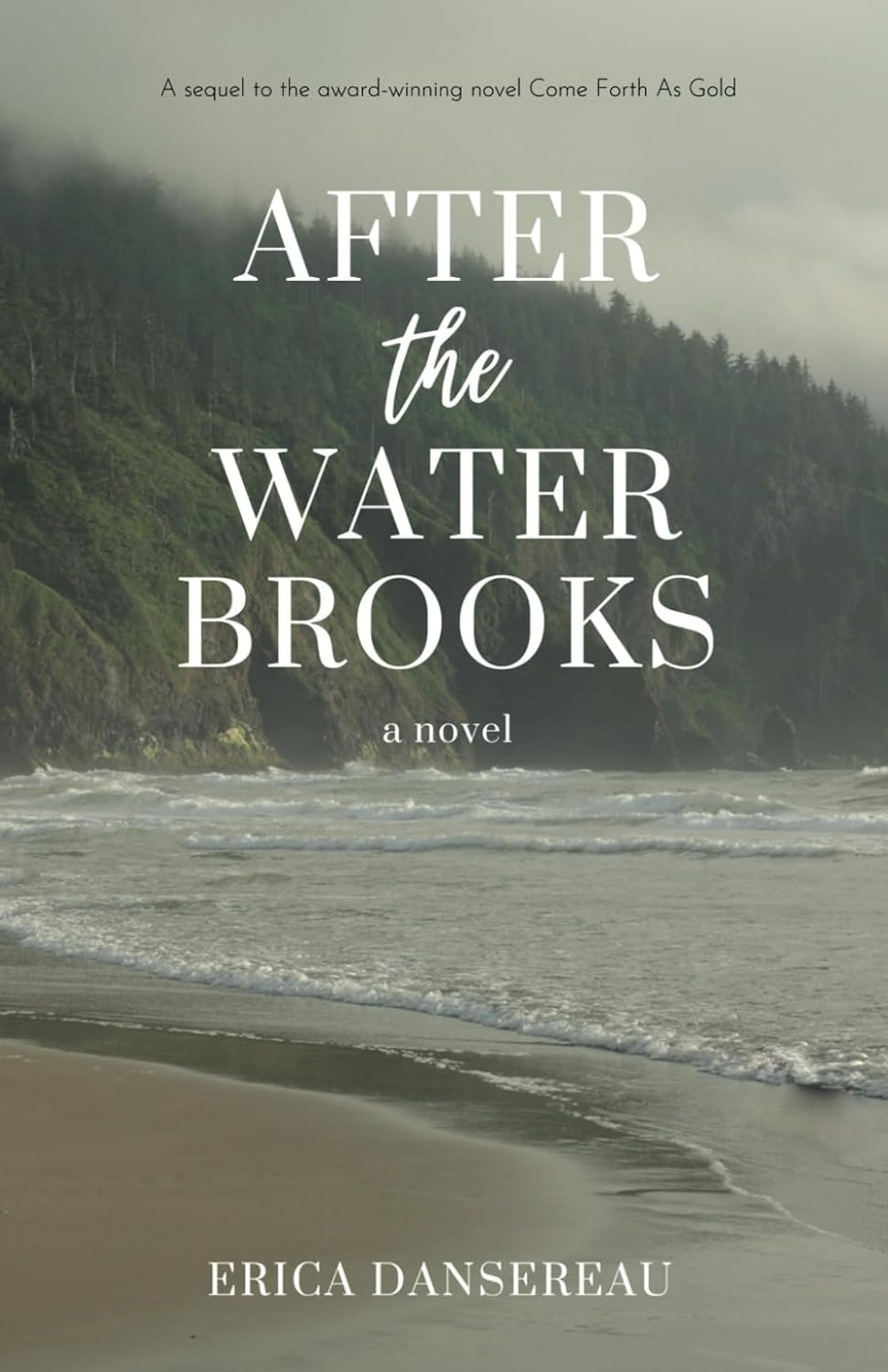 After The Water Brooks by Erica Daneseau: Content&nbsp;Warnings