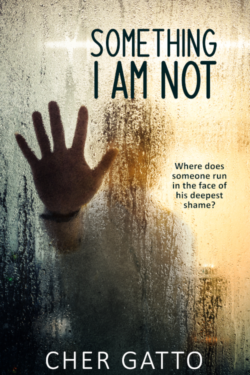 Something I Am Not by Cher Gatto: Content&nbsp;Guide