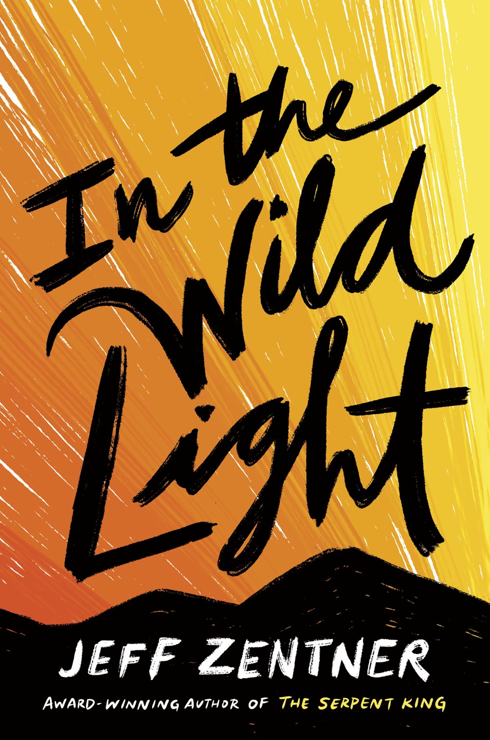 In the Wild Light by Jeff Zentner: Content Guide &&nbsp;Warnings