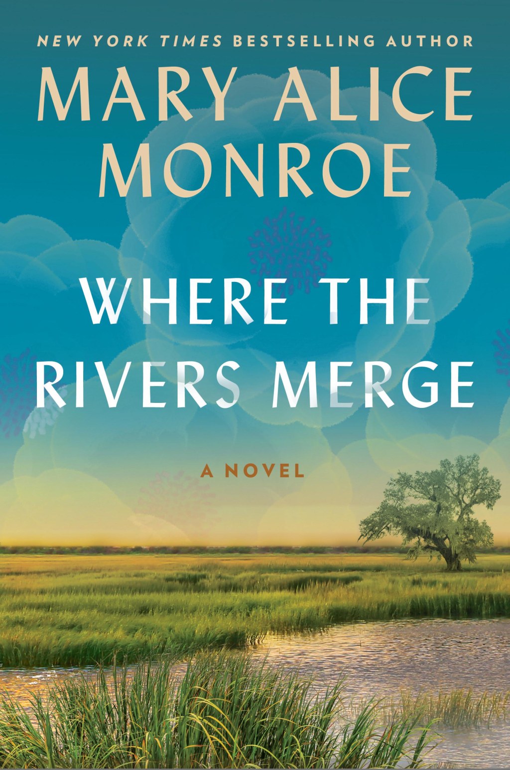 Where the Rivers Merge by Mary Alice Monroe: Content&nbsp;Guide