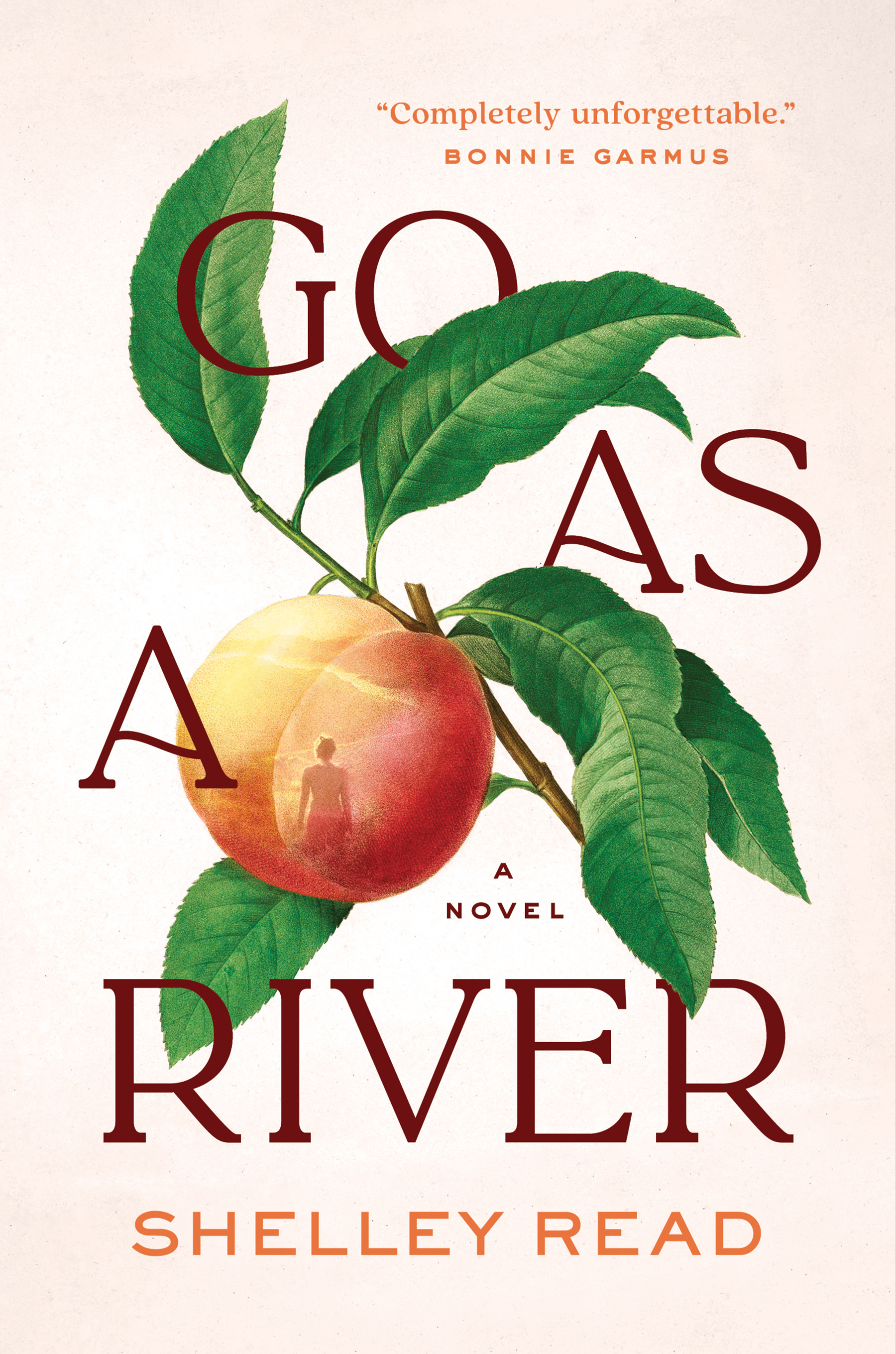 Go as a River by Shelley Read: Content Guide