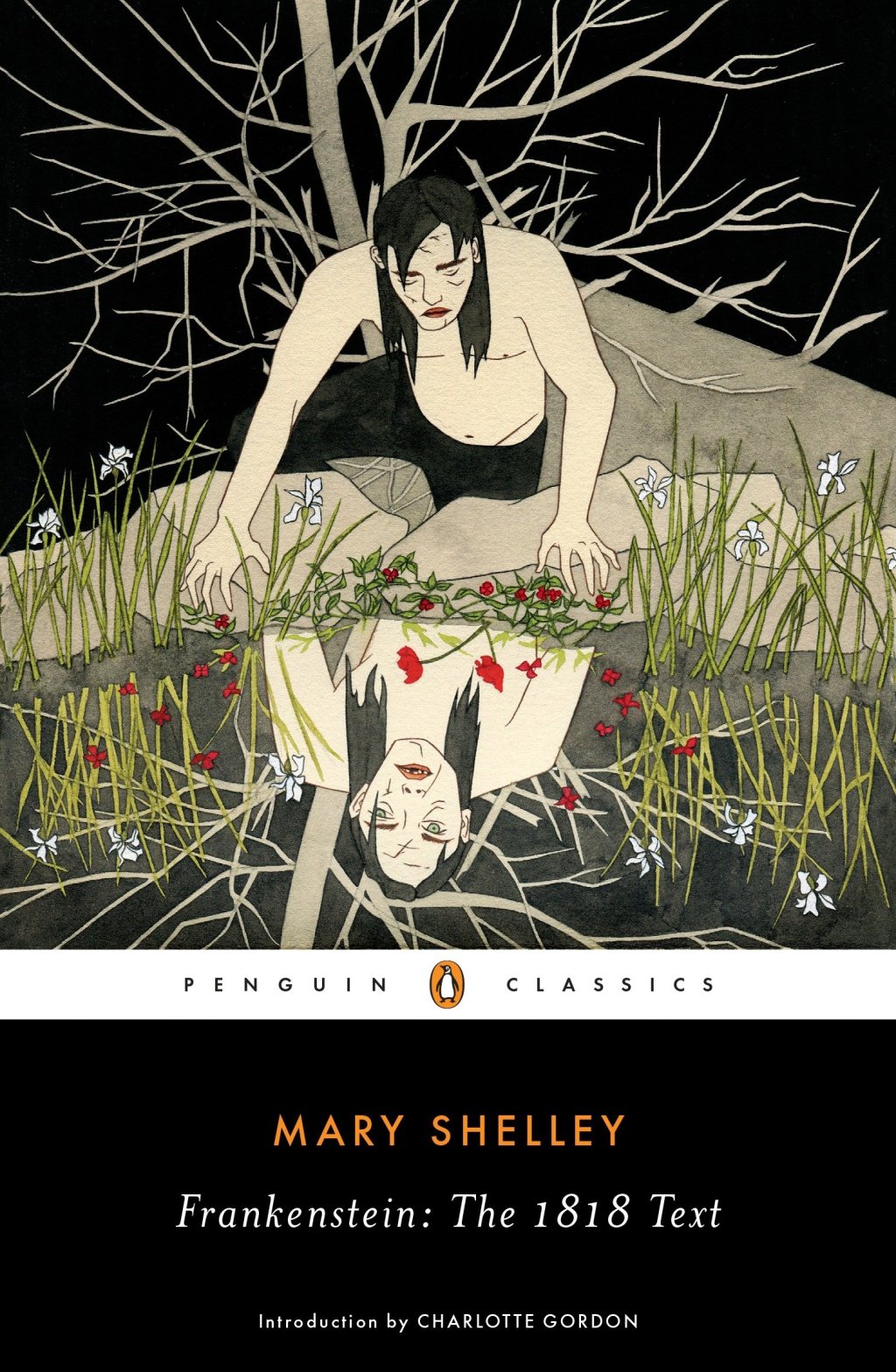 Frankenstein by Mary Shelley: Content&nbsp;Guide